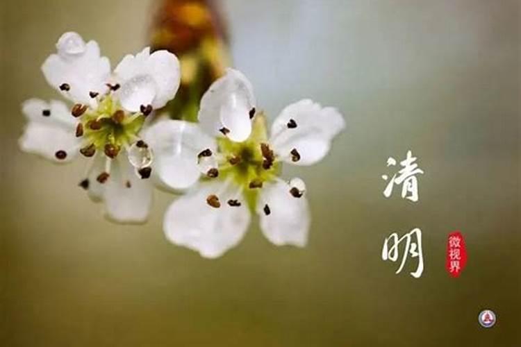 4月6日清明节是哪一年百度问一问
