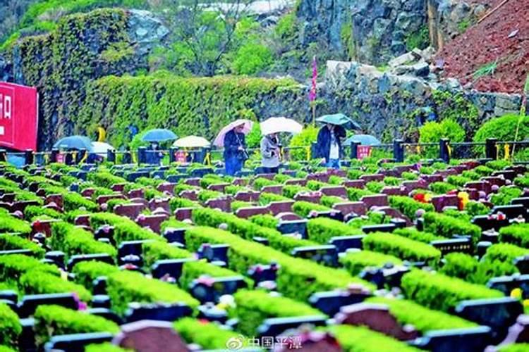 今年新坟清明节能上坟吗有讲究吗