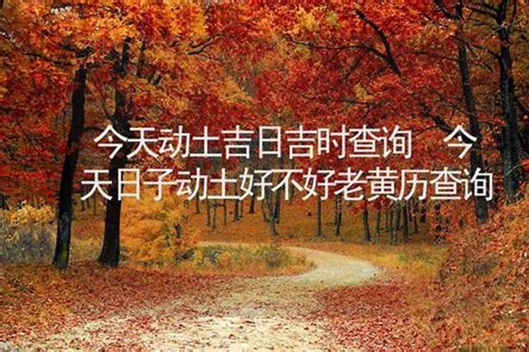 今天出门日子不好吗