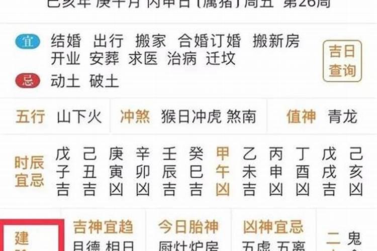 龙鼠猴三合是什么