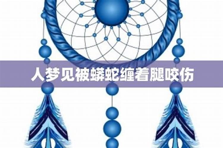 梦见蟒蛇咬到脚的预兆