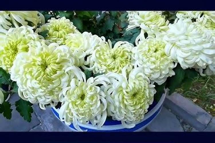 镜心道长这节课就详细的教大家来画文昌符,家有孩子的学员弟子,要认真学 ...