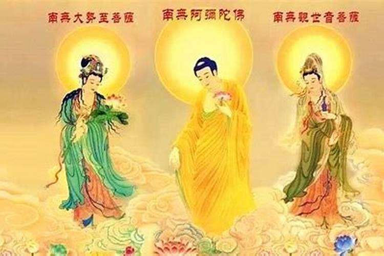 属兔女配什么属相最好