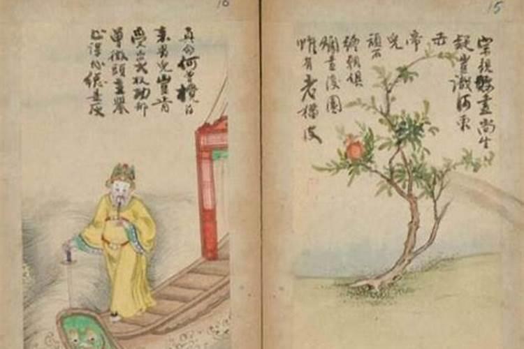 给老人上坟买几朵花(去坟前祭奠老人摆花买什么鲜花)