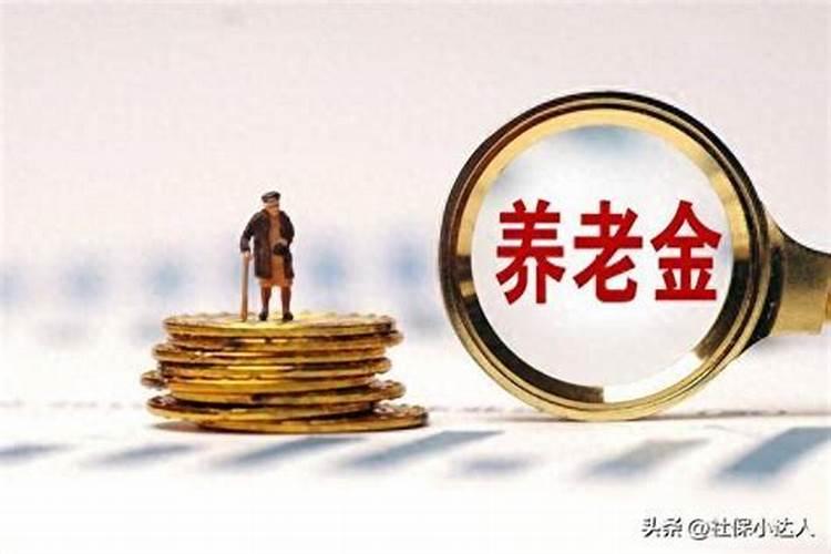 冬至扫墓送什么花