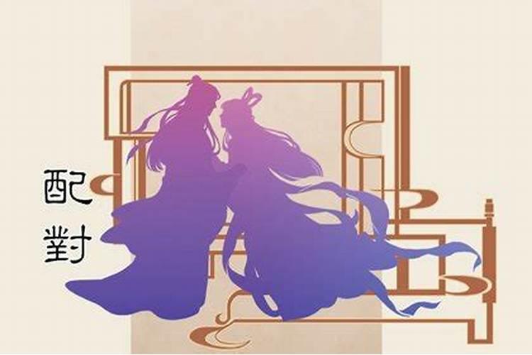 冬至祭祀带点啥花