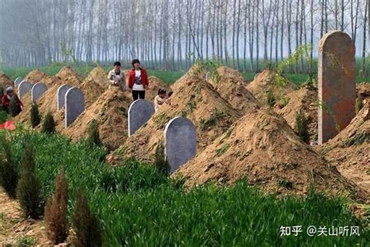 拜新坟需要什么祭品