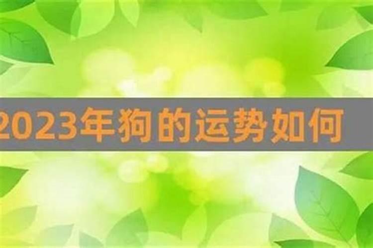 2025年63年属兔女运势