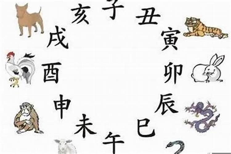 速看!十月份十二生肖事业运解析