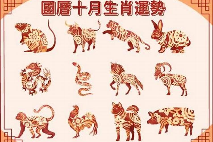 10月十二生肖运势解读