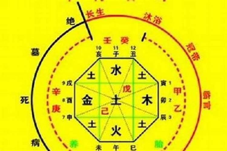 八字有财无库怎样补救旺财库的风水方法解析？