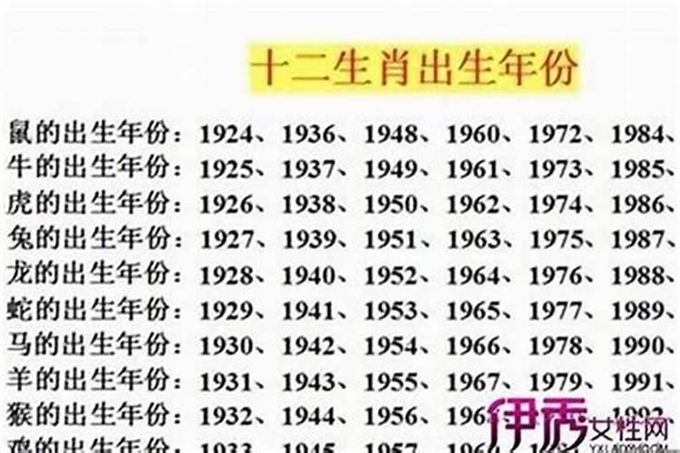 属兔2025年运势及运程详解