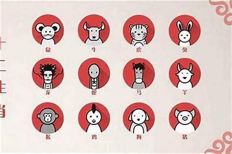 两个人属相合八字会不合吗？