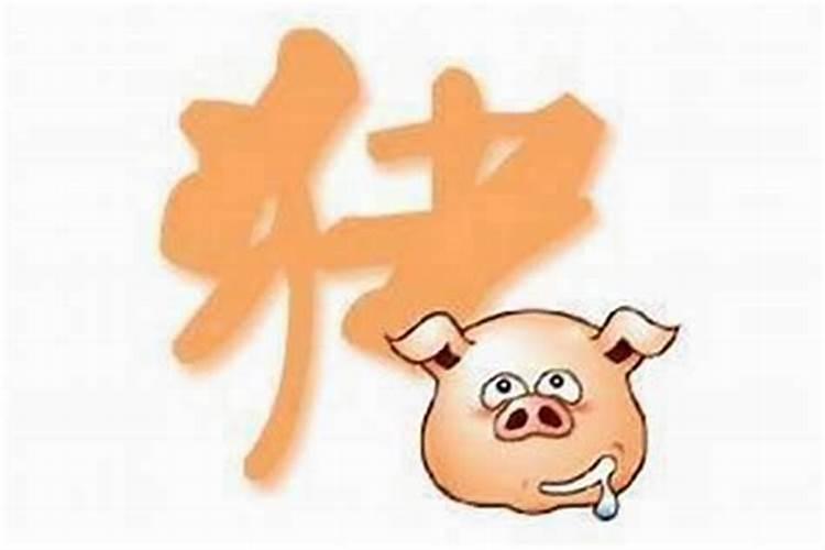 男属猪83正月十五的女属龙九月的生什么属相的宝宝好？