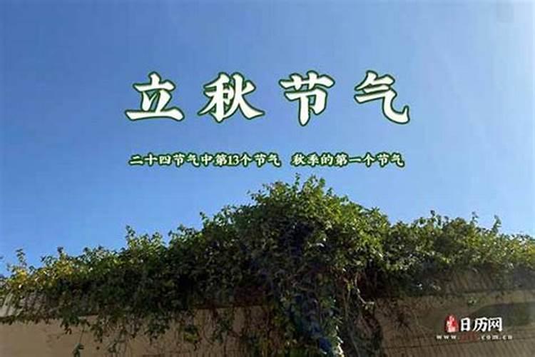 算命说太岁是什么意思