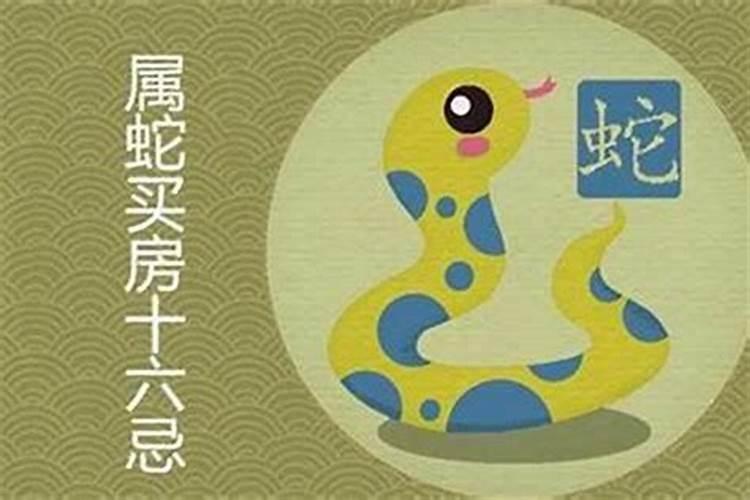 男属鸡女属龙孩子属狗一家三口住几楼最好一共十一层楼