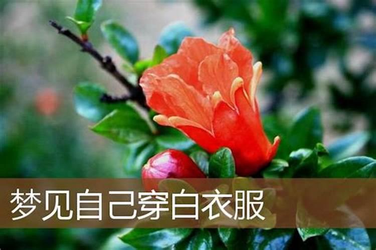 梦见家人穿白衣服的预兆