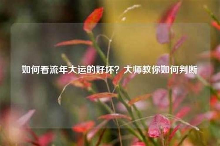 属龙2025每月运势及运程详解