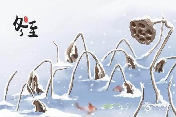 冬至生的孩子有什么说法吗 事业财运发展顺利