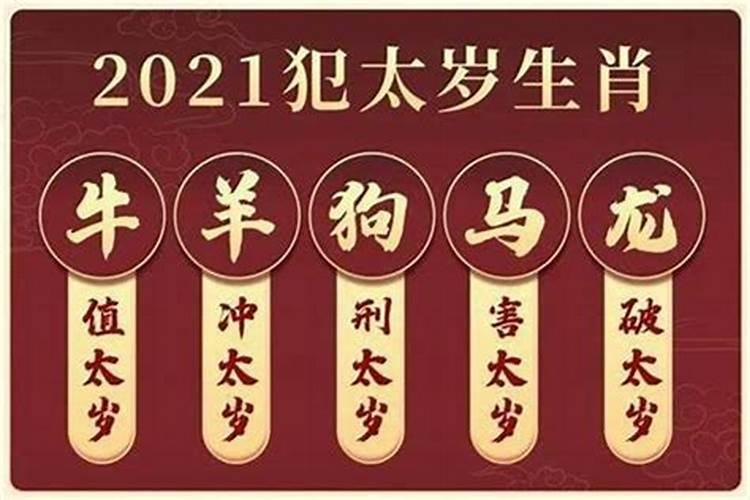 男属兔和女属兔结婚好吗