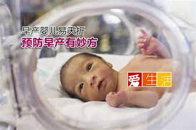 属鸡女和什么属相最配