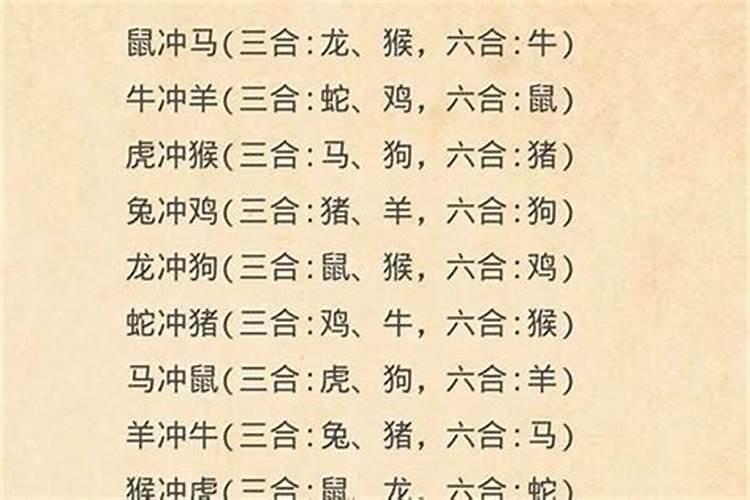 1997年牛最佳配偶属相