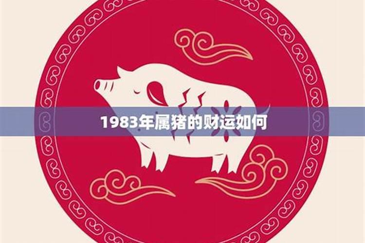1983年属猪的2025运势和财运