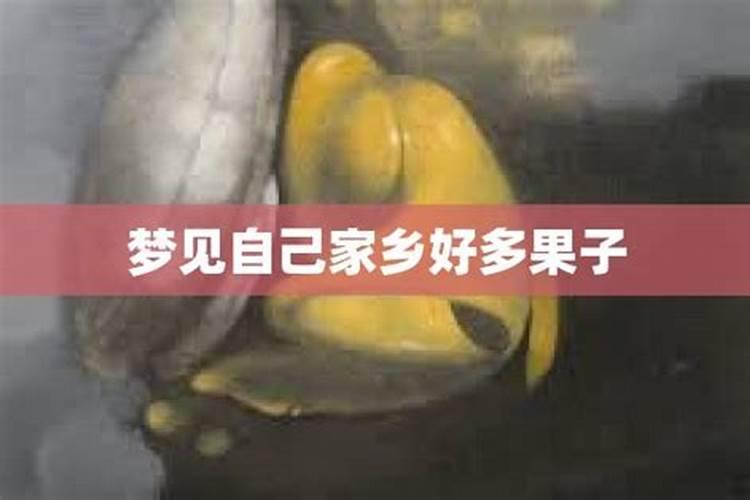 属虎的人和兔的人能结婚吗 虎和兔的注意事项