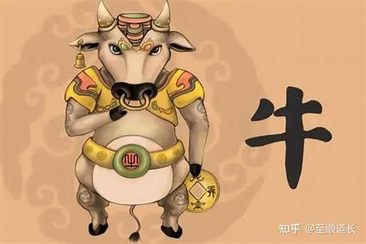 北京冬奥会倒计时一周年,目前我国准备的如何了？