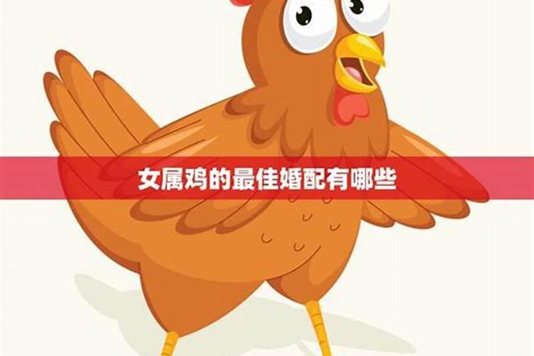 女鸡配什么属相最好