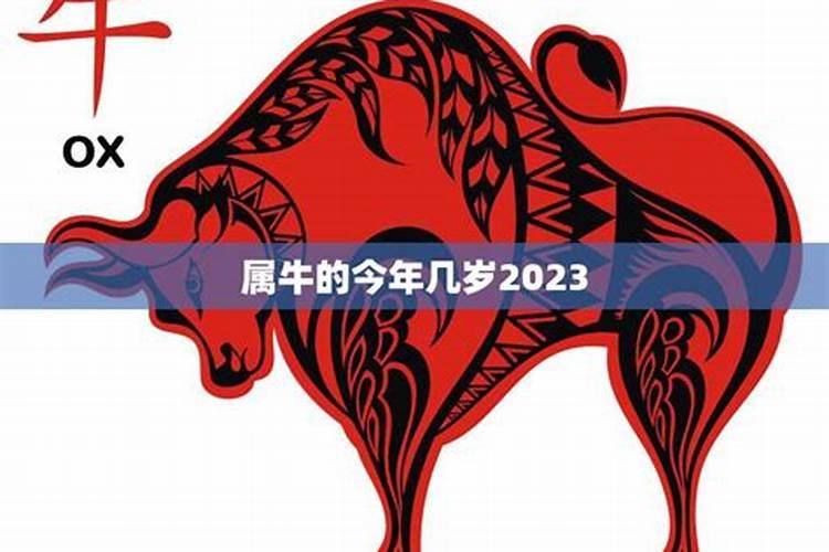 属虎的今年多大2024年属虎的几岁