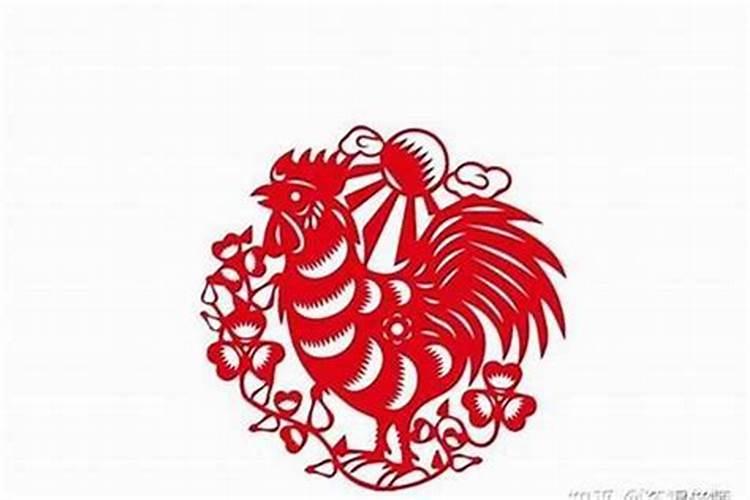 农历1981年十月二十六日的卯时命运