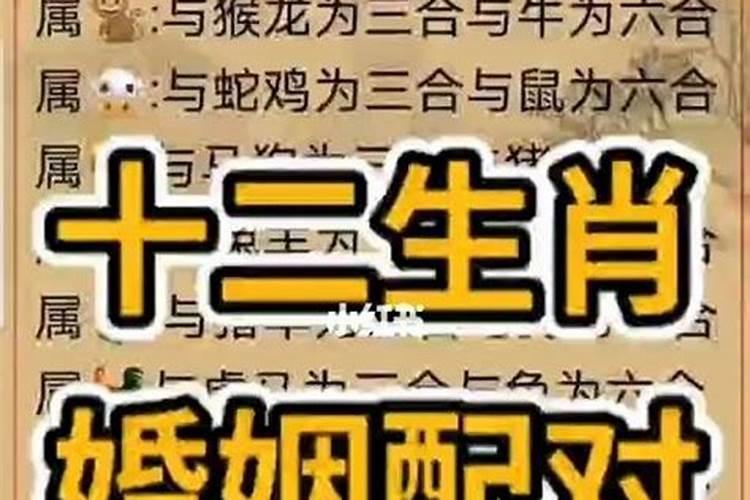 周易生辰八字测算婚期,生辰八字测婚期