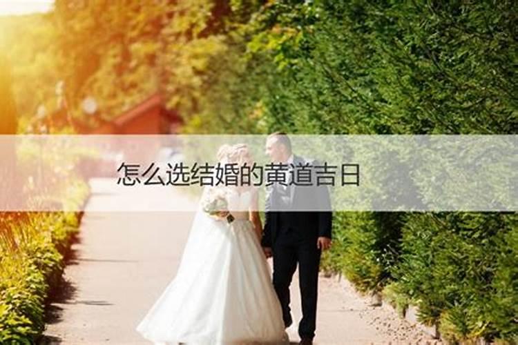 农历三月十五出生的人命运如何好不好