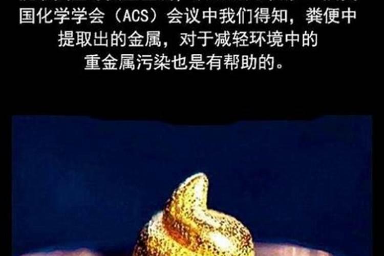 梦到粪便是什么意思 梦到粪便的寓意