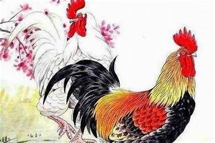 属鸡的和什么属相最好婚配