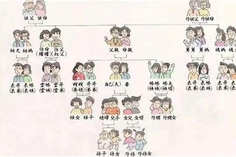 梦见叔叔家妹妹来看我