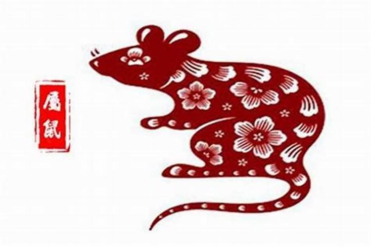 女蛇男鼠属相婚配好吗