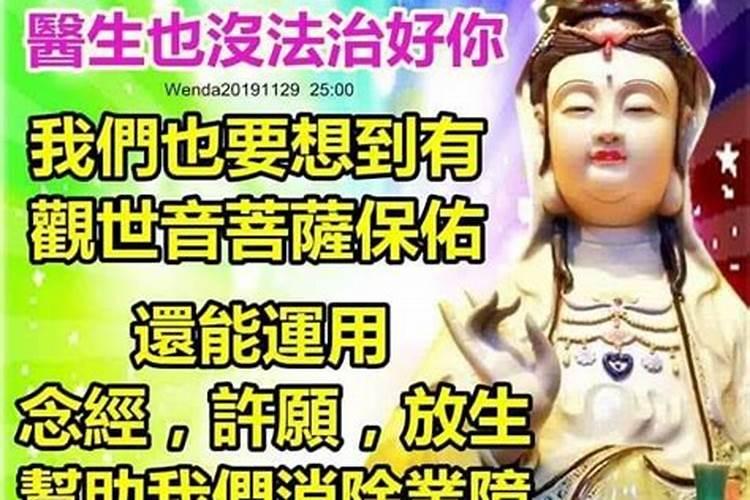 道士可以吃肉吗