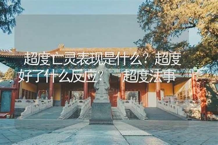 蛇与虎的属相合不合