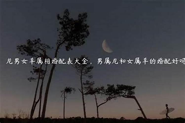 夫妻双方都属龙相克吗,夫妻两个都属龙好吗？