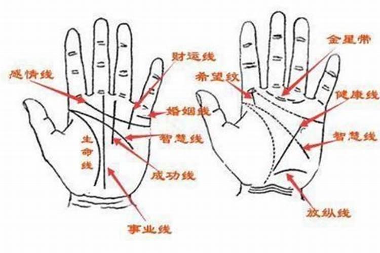 梦见和同学玩耍的预兆