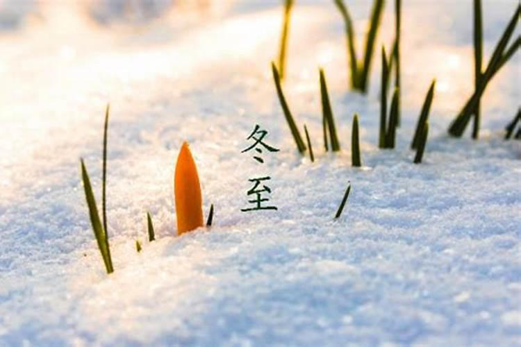 梦见已故长辈和棺材什么预兆