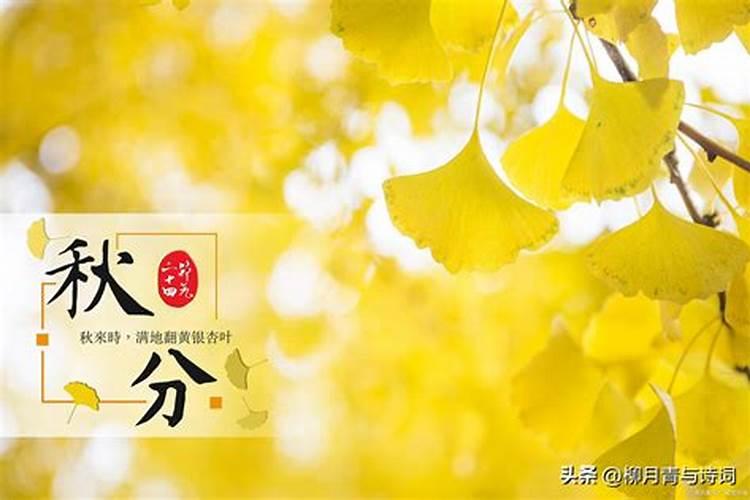 二十四节气秋分的含义