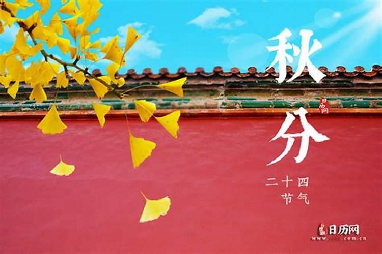 秋分的节气习俗是什么？