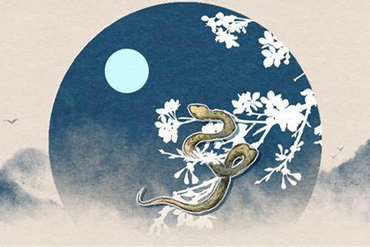 1965属蛇人2024年全年运势运程