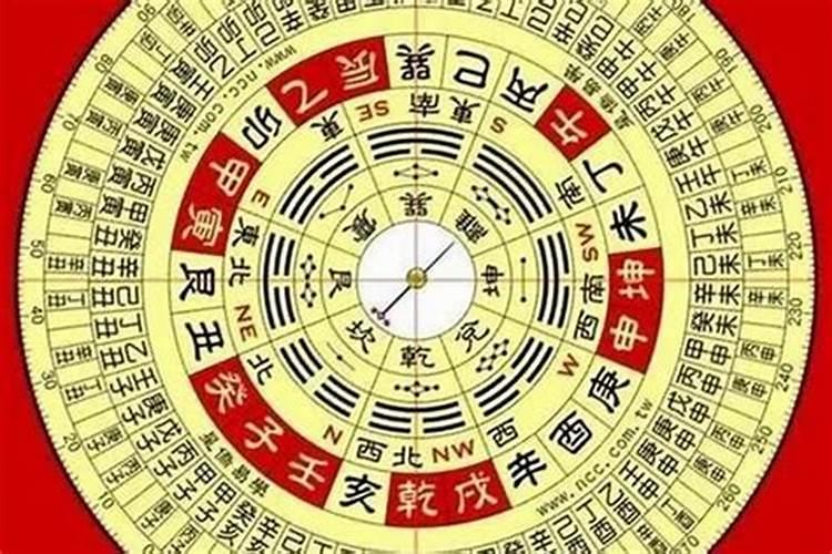 女命八字看事业方向有什么说法？