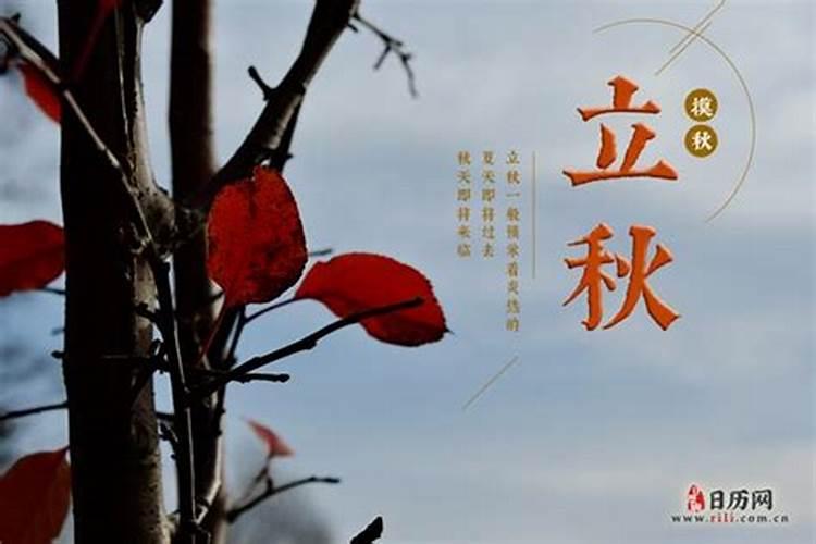 女命八字看事业,婚姻不顺的女命八字