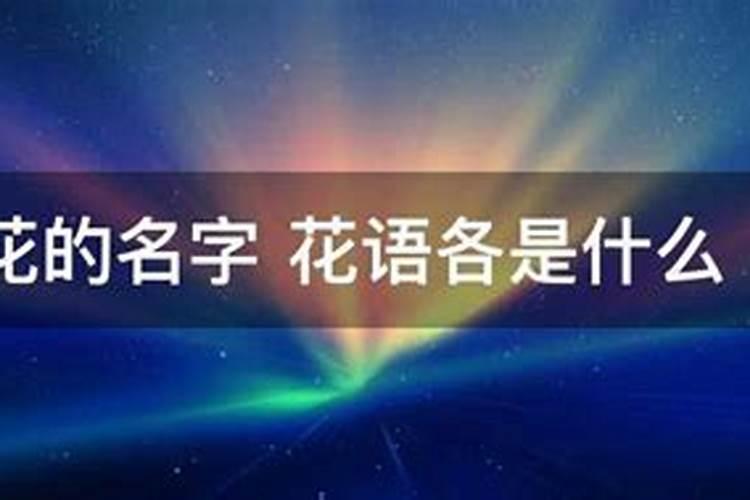 命中注定的桃花命是什么意思