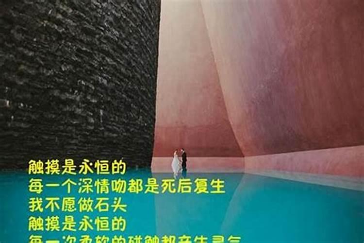 十二长生诀